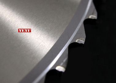 Cermet टिप ठंड काटने स्टेनलेस एज पाइप 255 मिमी x 80Z के लिए ब्लेड देखा
